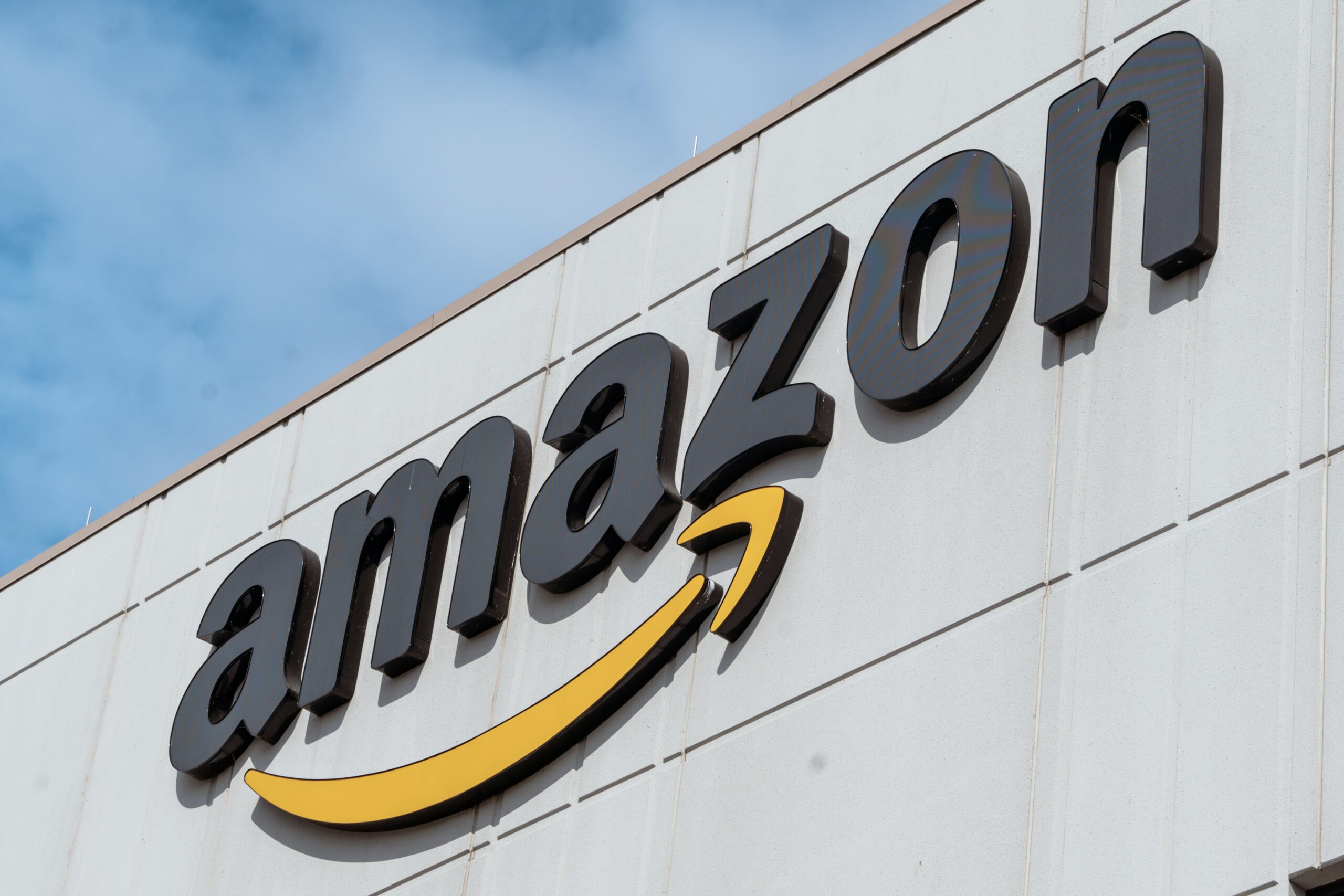 amazon dropshipping wholesale private label comparison