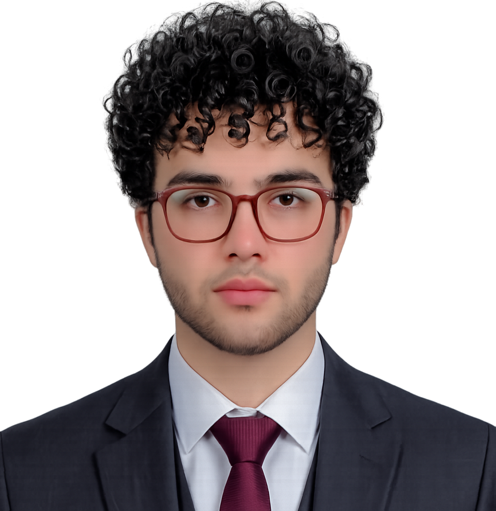 Muhammad Abubakar, Shopify and TikTok Shop specialist